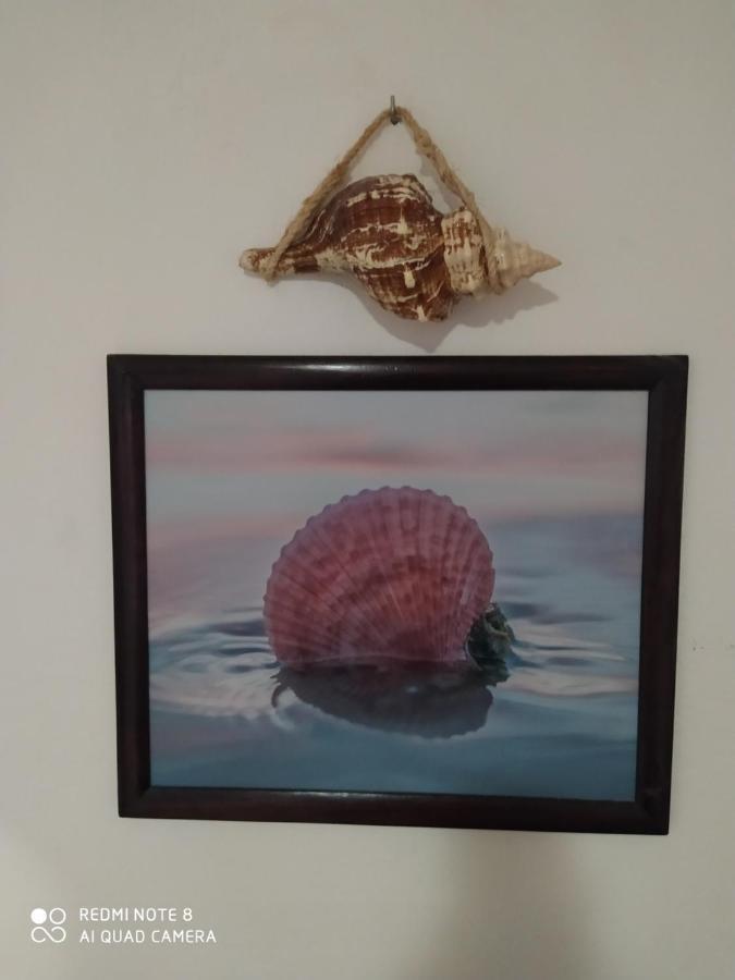Casa Ohana-Disfruta del paraiso Isola Holbox Esterno foto
