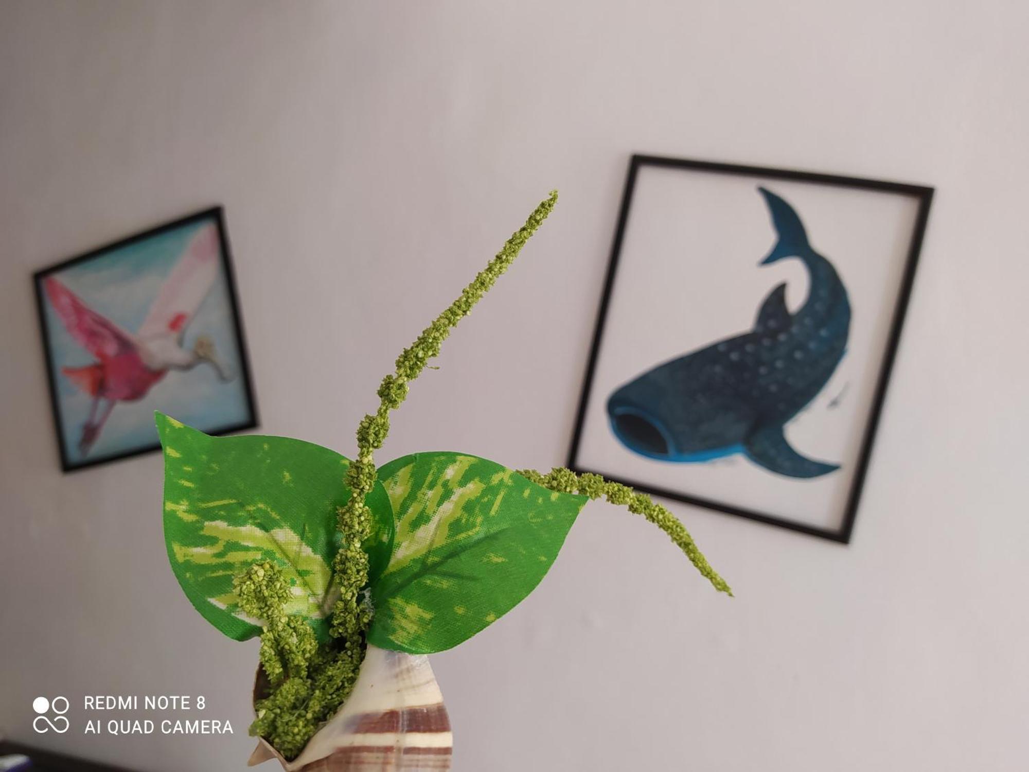 Casa Ohana-Disfruta del paraiso Isola Holbox Esterno foto