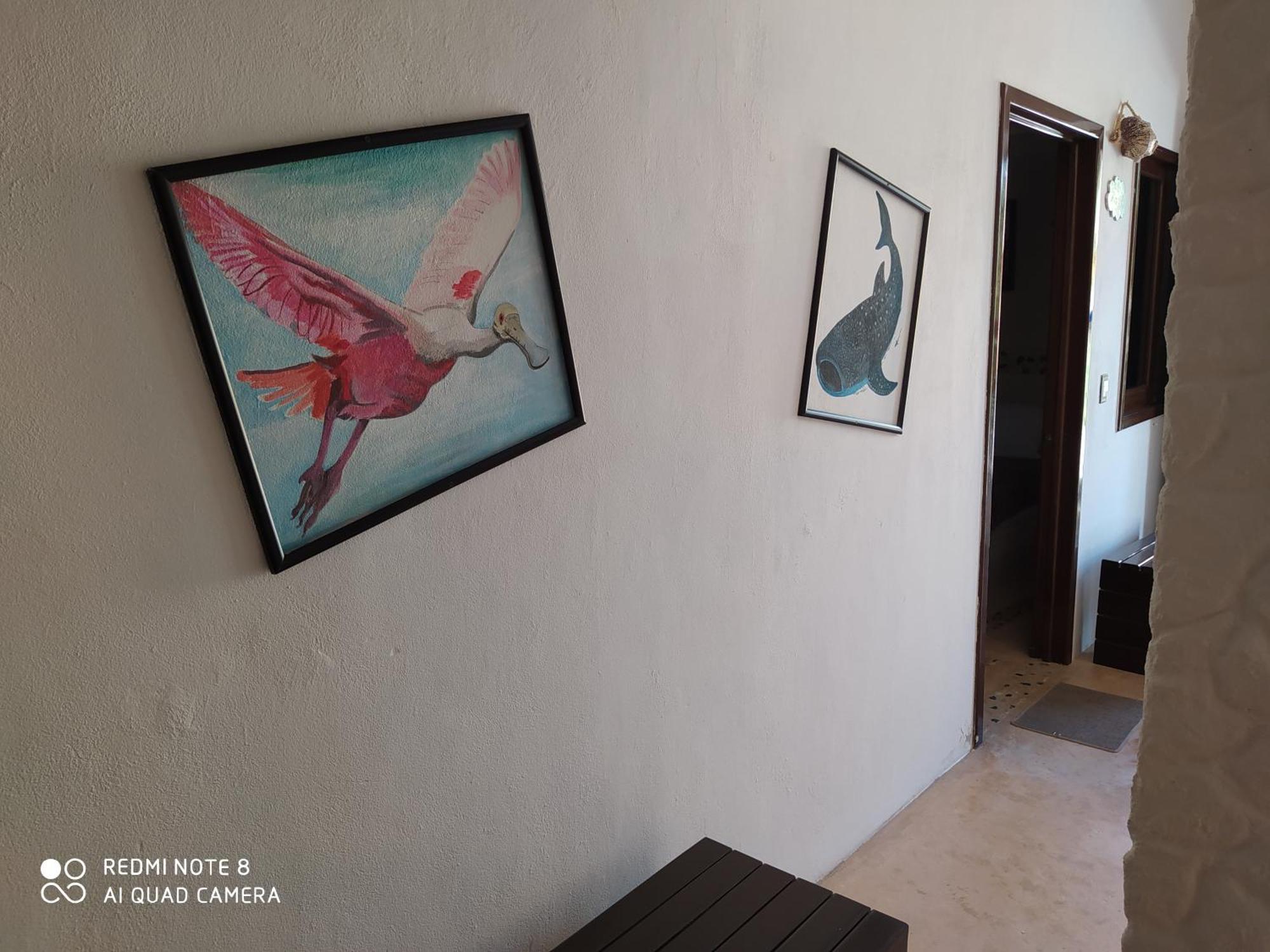 Casa Ohana-Disfruta del paraiso Isola Holbox Camera foto